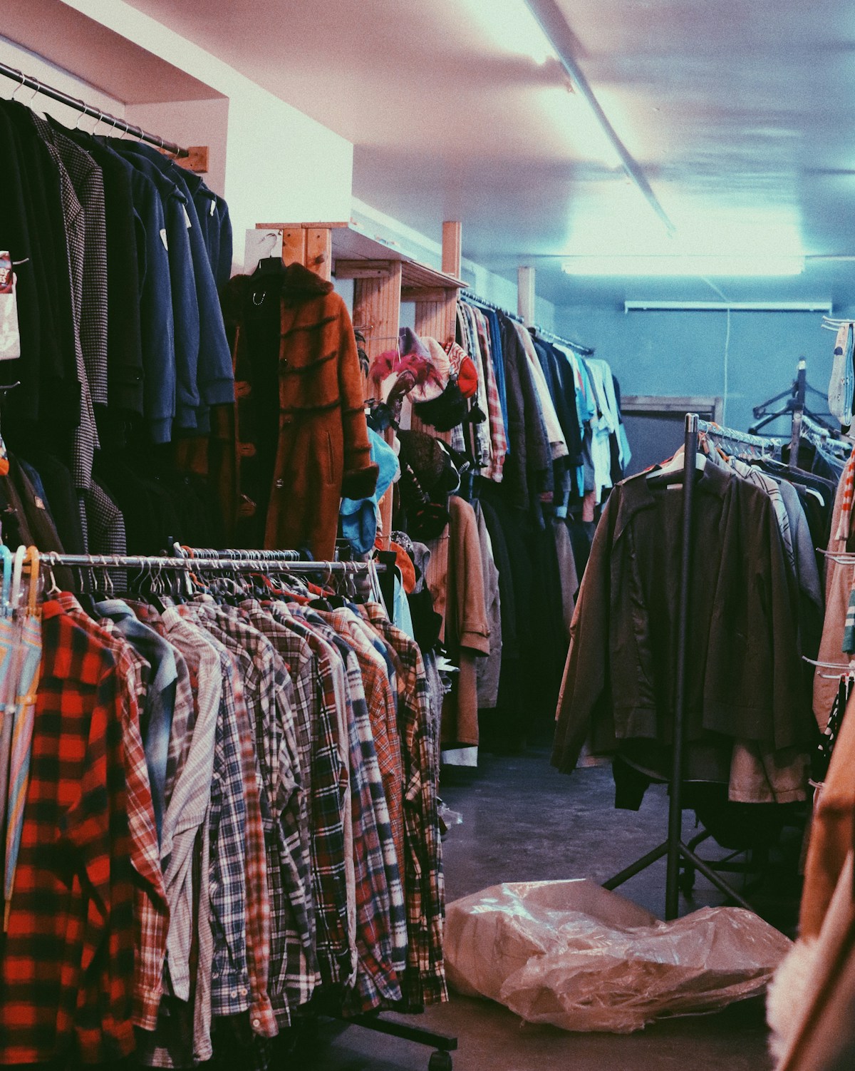 Neatly arranged seasonal fashion garments in a retail environment